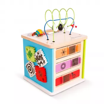 Baby Einstein  Centru de activitati - Hape Innovation Station