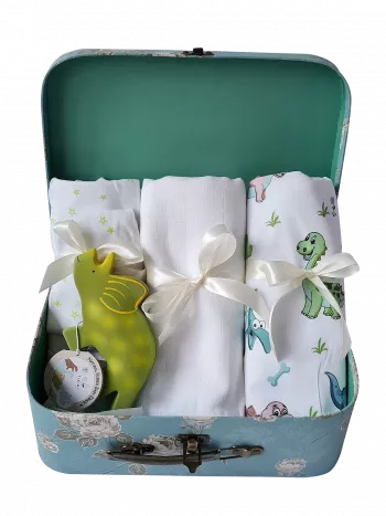 Cadou bebelus - Dinozaur - Bestfam