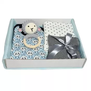 Cadou bebelus baiat - Oita gri/body bleu - Bestfam