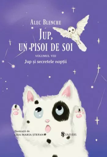 Jup, un pisoi de soi  volumul VIII Jup si secretele noptii