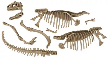 Kit excavare - Dinozaur fioros