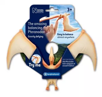 Pteranodon in echilibru