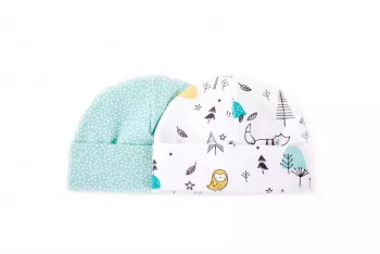 Set 2 caciulite nou-nascut Alaska/Mint Dots