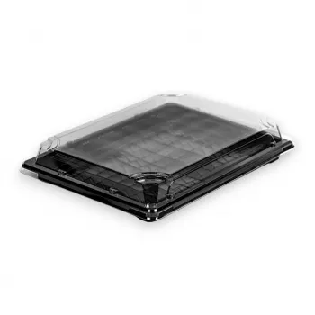 CASEROLA PLASTIC SUSHI  CU CAPAC 100 BUC/SET 255*185 ST6