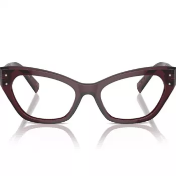 Imagine produs: Dolce&Gabbana DG3385 3045 54