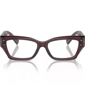 Imagine produs: Dolce&Gabbana DG3387 3045 53