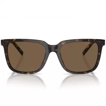 Imagine produs: Giorgio Armani AR8202U 587973 55