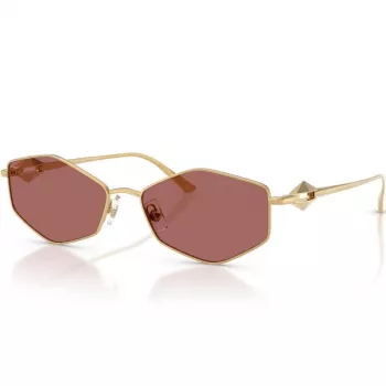 Imagine produs: Jimmy Choo JC4017 302369 55