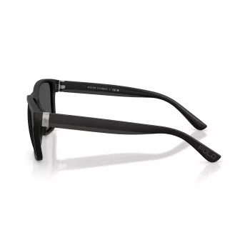 Imagine produs: Polo Ralph Lauren PH4229U 500187 56