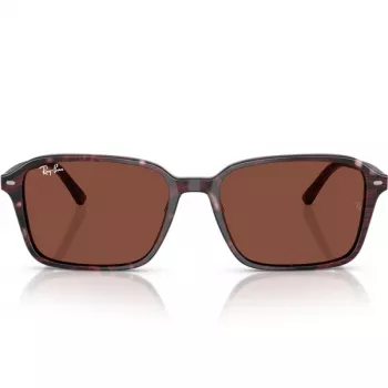 Imagine produs: Ray-Ban RB2231 1416C5 56 RAIMOND