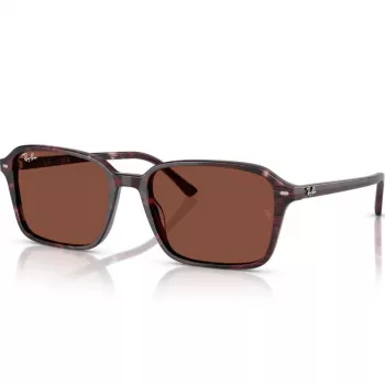 Imagine produs: Ray-Ban RB2231 1416C5 56 RAIMOND