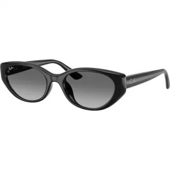 Imagine produs: Ray-Ban RB4457D 6677/11 55