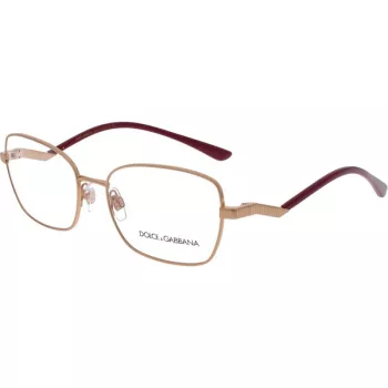 Imagine produs: Dolce&Gabbana DG1334 1298 55
