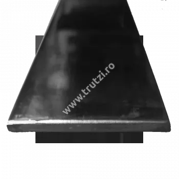 Profile laminate lise - bare - 2676005 PLATBANDA INOX SS304 60X5MM, trutzi.ro