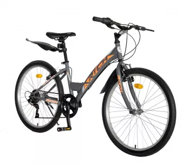 Bicicleta TREKKING 24" RICH R2430A, 6 viteze, culoare gri/portocaliu