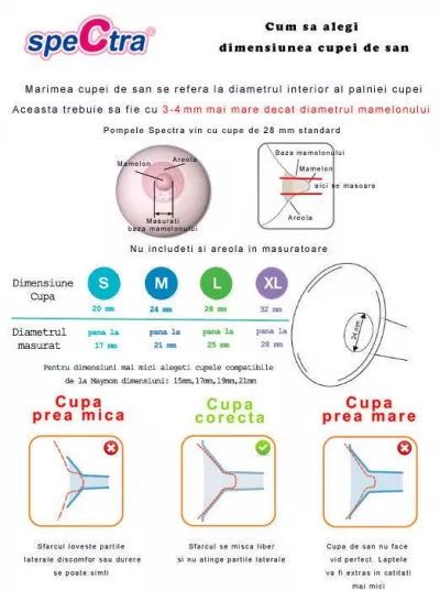 Pompa de san electrica dubla DEW 350