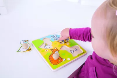 Primul meu puzzle - Animale de companie - BigJigs