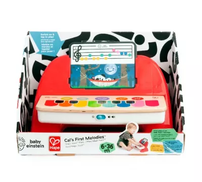 Baby Einstein - Jucarie muzicala de lemn Cal First Melodies Magic Touch Piano