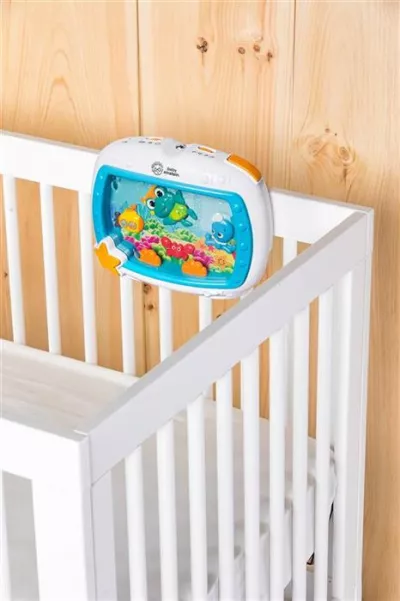Baby Einstein - Jucarie muzicala - Visele din Adancul Marii - Bright Starts