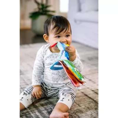 Baby Einstein - Jucarie pentru dentitie in forma de carte
