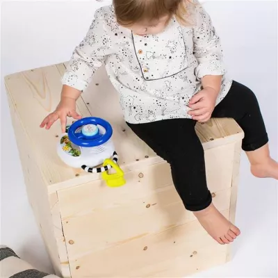 Baby Einstein - Jucarie volan muzical cu lumini - Driving Tunes - Bright Starts