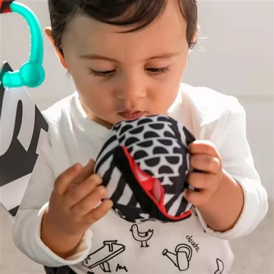 Baby Einstein - Salteluta de activitati - Bold New World - Bright Starts