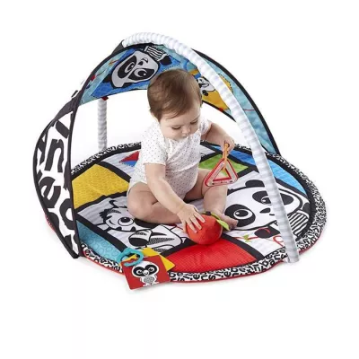Baby Einstein - Salteluta de activitati - Bold New World - Bright Starts