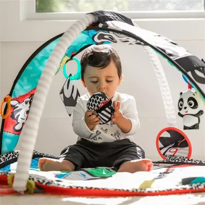Baby Einstein - Salteluta de activitati - Bold New World - Bright Starts