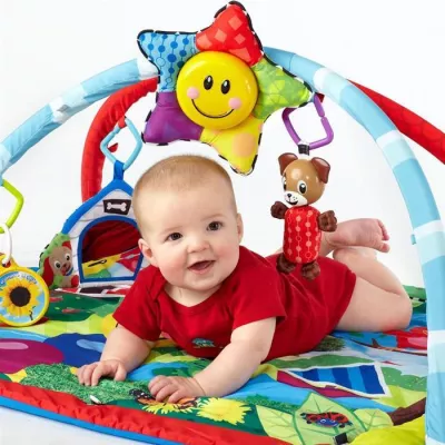 Baby Einstein - Salteluta De Activitati “Omida si Prietenii” - Bright Starts