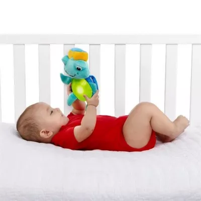 Baby Einstein - Salteluta Joaca - Experienta In Recif - Bright Starts