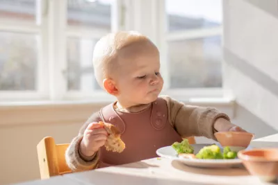 BIBS - Bavetica pentru diversificare si hranire, Sage