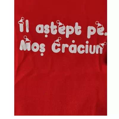 Body cu maneca lunga - Il astept pe Mos Craciun 9-12 luni