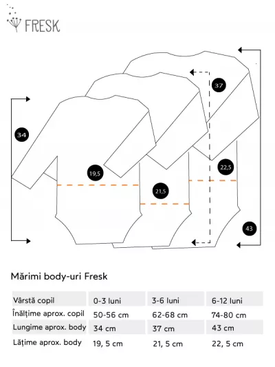 Body mânecă lungă 3-6 luni, din bumbac organic, model Havre
