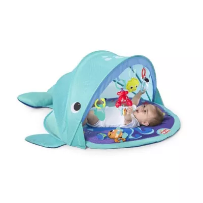 Salteluta de activitati - Explore & Go Whale - Bright Starts