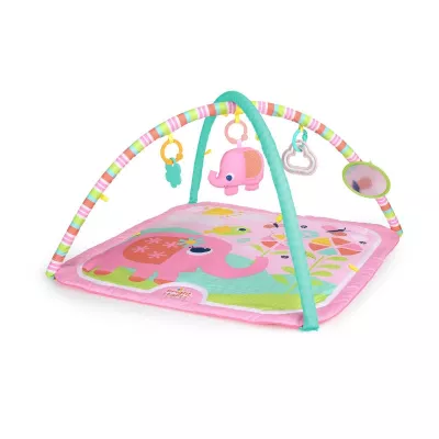 Bright Starts - Salteluta de activitati Fanciful Flowers