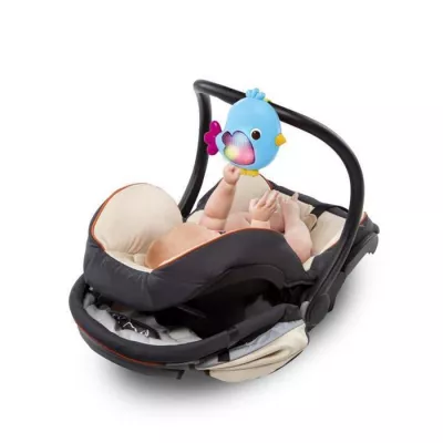 Salteluta de joaca 5in1 - Sweet Songbirds - Bright Starts