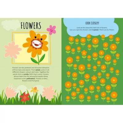 Carte de activitati cu abtibilduri - In natura