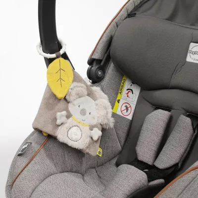 Carticica pentru bebelusi - Koala