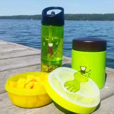 Caserola compartimentata cu disc de racire, 300 ml - Lime - Carl Oscar