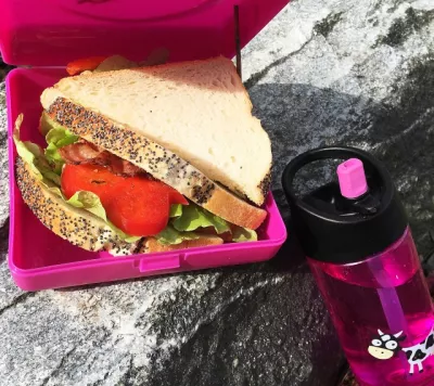 Caserola sandwich - Mov - Carl Oscar