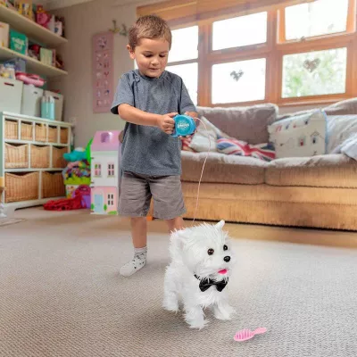 Catelusul plimbaret - Westie