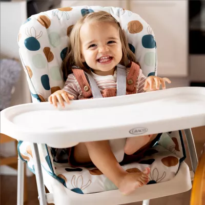 Graco -  Scaun de masa SnackEase Organza