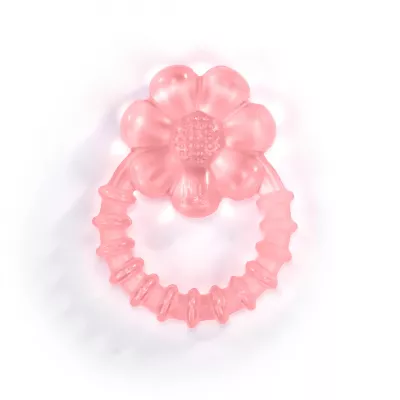 Ingenuity - Jucarie de dentitie ity Cool Bite Daisy