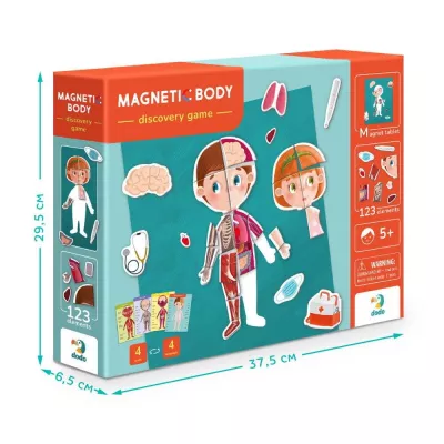 Joc magnetic - Descopera corpul uman
