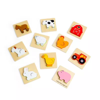 Joc Simte si gaseste - Ferma