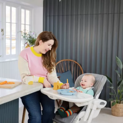 Joie - Scaun de masa Mimzy Recline Arctic, nastere - 15 kg