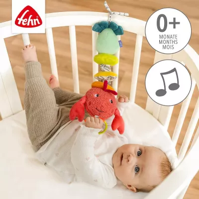 Jucarie muzicala - Racul vesel