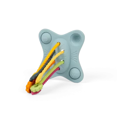Jucarie senzoriala - Trage, impinge, apasa