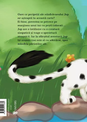 Jup, un pisoi de soi volumul IX  Un salt norocos