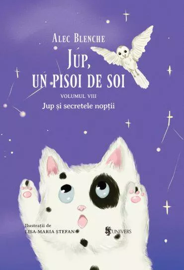 Jup, un pisoi de soi  volumul VIII Jup si secretele noptii